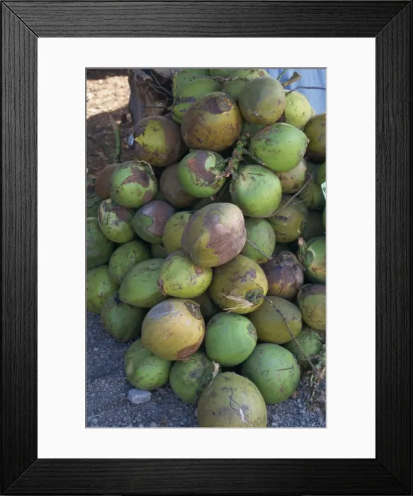 Framed Print : Close-up of a pile of green coconuts Framed Print : Close-up of a pile of green coconuts