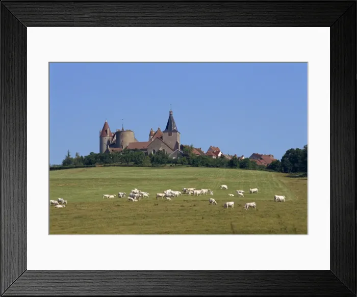 Framed Print : Chateauneuf, Burgundy, France, Europe Framed Print : Chateauneuf, Burgundy, France, Europe