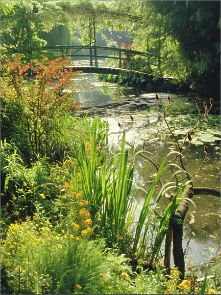 Waterlily pond and bridge in Monets garden, Giverny, Haute Normandie (Normandy)