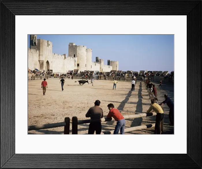 Framed Print : Aigues Mortes, Camargue, Provence, France, Europe Framed Print : Aigues Mortes, Camargue, Provence, France, Europe