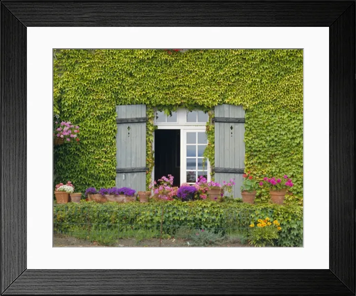 Framed Print : Close-up of house at St. Servan-sur-Mer, near St. Malo, Brittany, France, Europe Framed Print : Close-up of house at St. Servan-sur-Mer, near St. Malo, Brittany, France, Europe