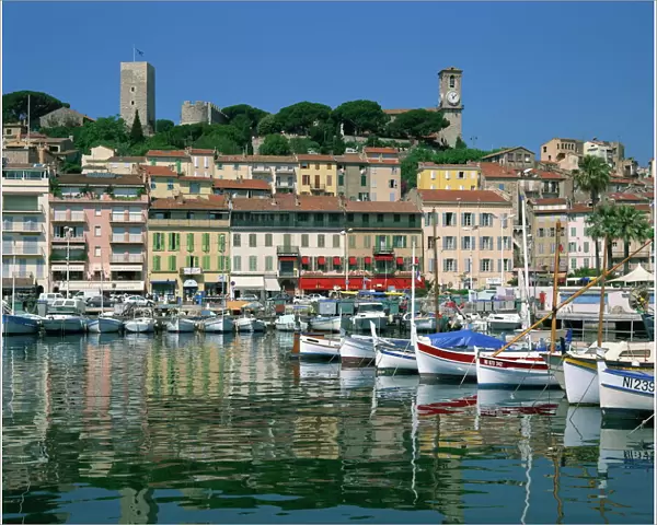 Cannes, Alpes-Maritimes, Cote d Azur, Provence, French Riviera, France