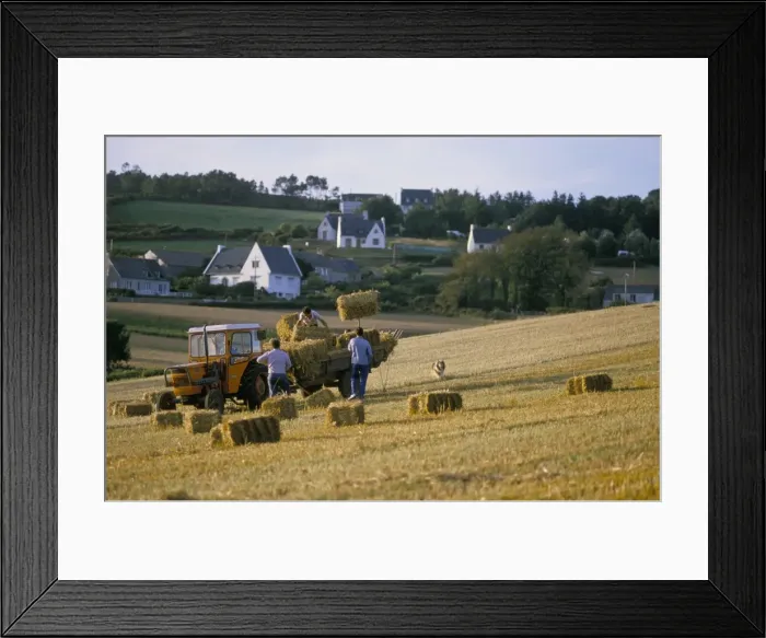Framed Print : Farmers harvesting, near Telgruc-sur-Mer, Crozon Peninsula, Brittany, France, Europe Framed Print : Farmers harvesting, near Telgruc-sur-Mer, Crozon Peninsula, Brittany, France, Europe