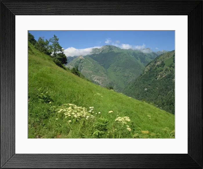 Framed Print : Vallee d Aspe, Bearn, Pyrenees Atlantique, Aquitaine, France, Europe Framed Print : Vallee d Aspe, Bearn, Pyrenees Atlantique, Aquitaine, France, Europe
