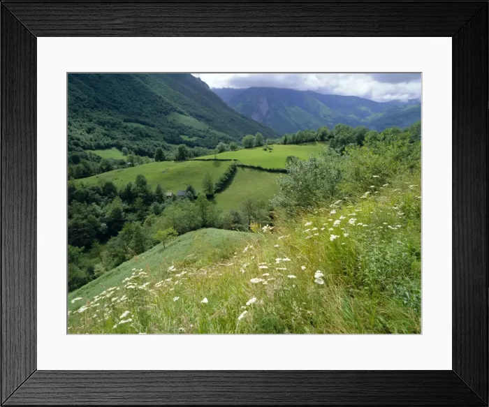 Framed Print : Valley of the River Berthe near Accous, Bearn, Pyrenees, Aquitaine, France, Europe Framed Print : Valley of the River Berthe near Accous, Bearn, Pyrenees, Aquitaine, France, Europe