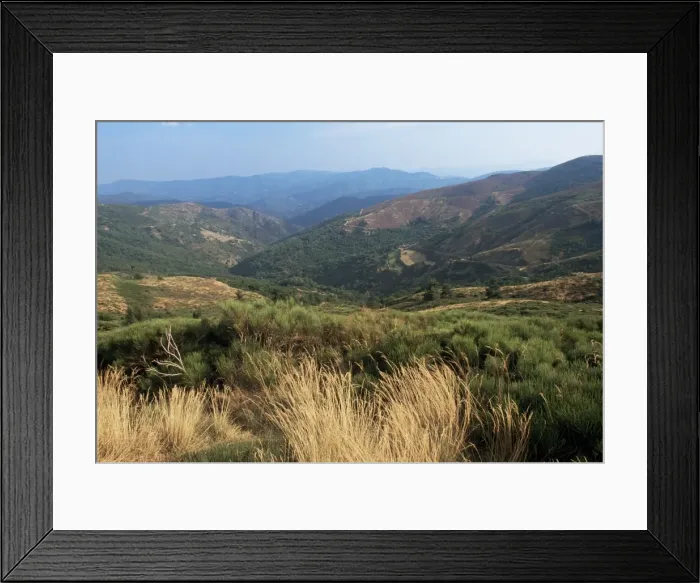 Framed Print : Hills near St. Maurice-de-Ventalon, Cevennes National Park, Lozere, Languedoc-Roussillon Framed Print : Hills near St. Maurice-de-Ventalon, Cevennes National Park, Lozere, Languedoc-Roussillon