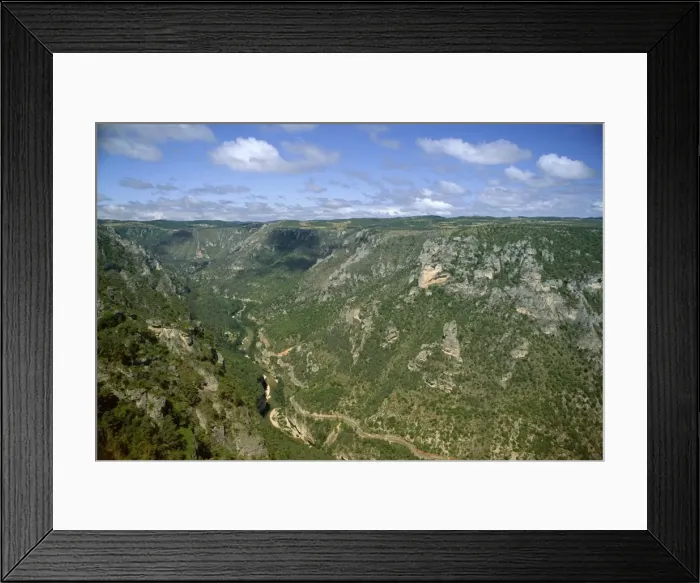 Framed Print : Gorges du Tarn from Roc des Hourtous, Lozere, Languedoc-Roussillon, France, Europe Framed Print : Gorges du Tarn from Roc des Hourtous, Lozere, Languedoc-Roussillon, France, Europe