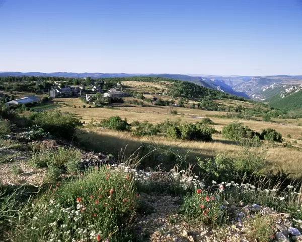 Landscape, Languedoc-Roussillon, France, Europe