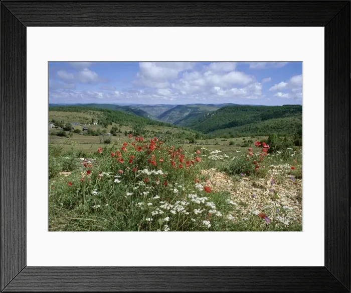 Framed Print : Causse Mejean, Gorges du Tarn behind, Lozere, Languedoc-Roussillon, France, Europe Framed Print : Causse Mejean, Gorges du Tarn behind, Lozere, Languedoc-Roussillon, France, Europe