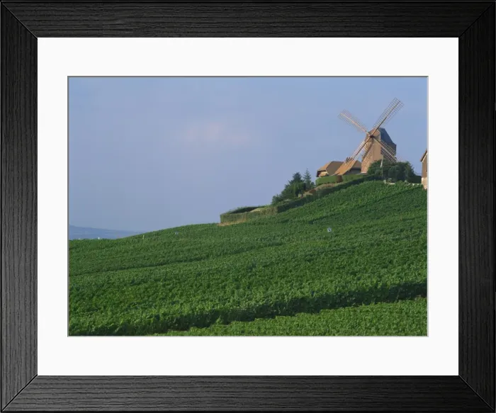 Framed Print : A windmill above a slope of Champagne vineyards at Versenay in Champagne-Ardennes Framed Print : A windmill above a slope of Champagne vineyards at Versenay in Champagne-Ardennes