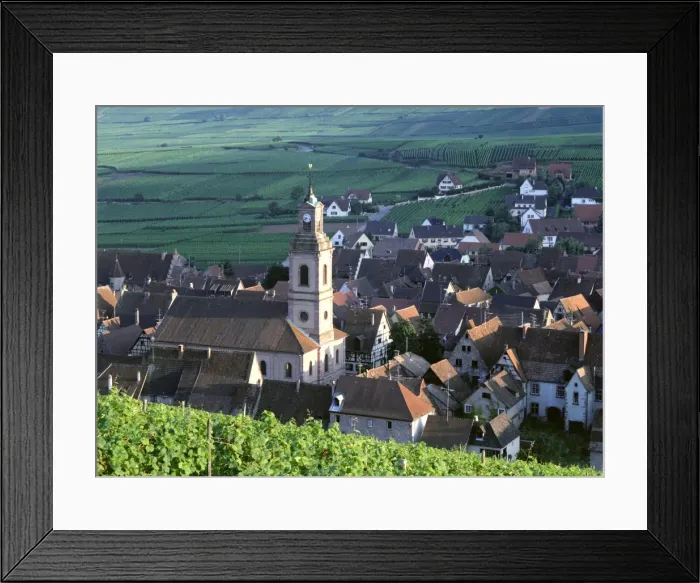 Framed Print : Vineyards and skyline of the town, Riquewihr, Haut-Rhin, Alsace, France, Europe