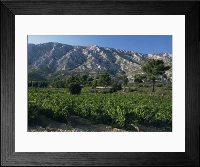 Framed Print : Vineyards and Montagne Ste. Victoire, near Aix-en-Provence, Bouches-du-Rhone Framed Print : Vineyards and Montagne Ste. Victoire, near Aix-en-Provence, Bouches-du-Rhone