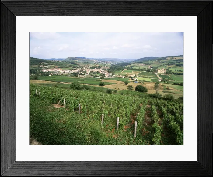Framed Print : Maconnais vineyards, Poilly Fuisse, near Macon, Saone-et-Loire, Burgundy, France, Europe