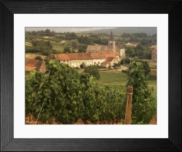 Framed Print : Maconnais vineyards, Poilly Fuisse, Ozenay, near Macon, Saone-et-Loire