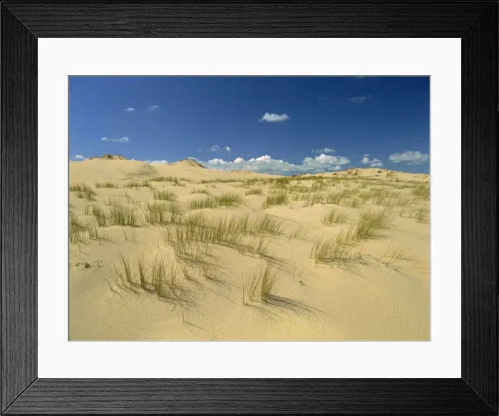 Framed Print : Landscape of sand and grass at Pointe de la Coubre near Royan in the Charente-Maritime