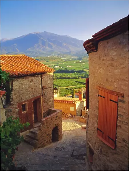 View from Eaus village of Mont Canigou, Pyrenees-Orientale, Languedoc-Roussillon