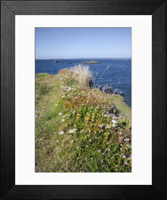 Framed Print : Locquirec, Armorican Corniche, Amorique Coast, Finistere, Brittany, France, Europe Framed Print : Locquirec, Armorican Corniche, Amorique Coast, Finistere, Brittany, France, Europe