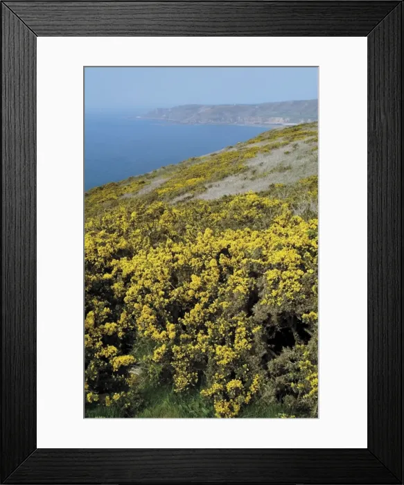 Framed Print : View from clifftop footpath, Cap Hague, near Cherbourg, Cotentin Peninsula Framed Print : View from clifftop footpath, Cap Hague, near Cherbourg, Cotentin Peninsula