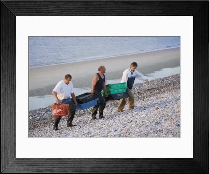 Framed Print : Fisherman carrying fish up shingle beach, Le Hourdel, Cote Picardie, Picardy Framed Print : Fisherman carrying fish up shingle beach, Le Hourdel, Cote Picardie, Picardy