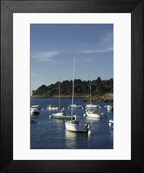 Framed Print : Trebeurden harbour, Cote de Granit Rose, Cotes d Armor, Brittany, France, Europe Framed Print : Trebeurden harbour, Cote de Granit Rose, Cotes d Armor, Brittany, France, Europe
