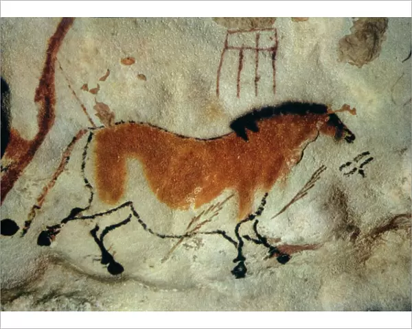 Cave painting, Lascaux, Aquitaine, France