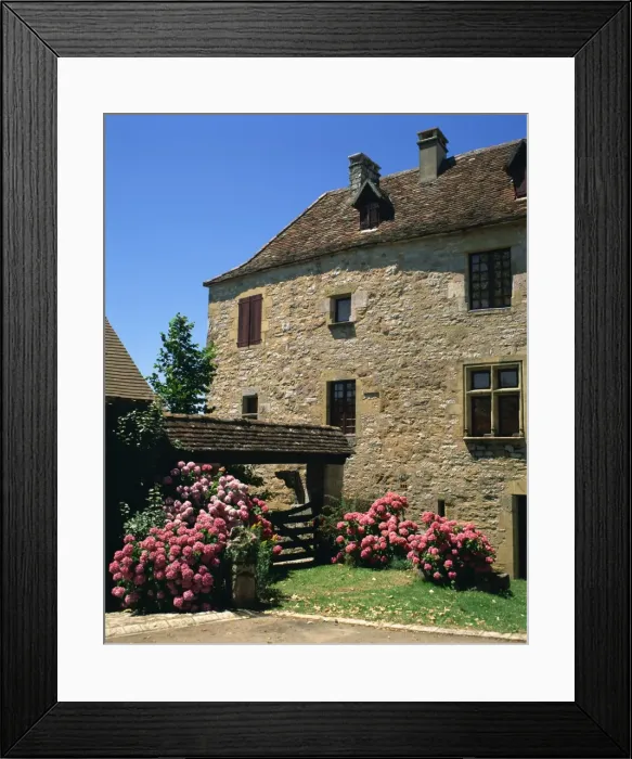 Framed Print : Hydrangeas and fuscia in front of one of the houses in the medieval village of Loubressac Framed Print : Hydrangeas and fuscia in front of one of the houses in the medieval village of Loubressac