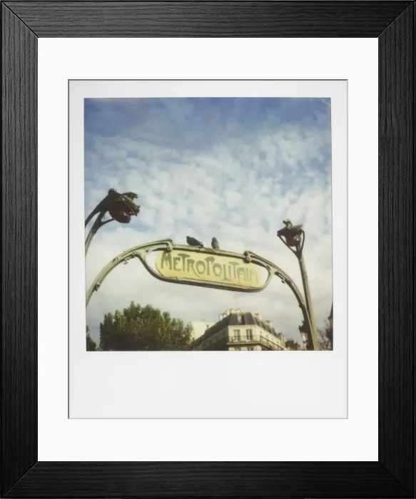 Framed Print : Polaroid of two pigeons sitting on sign outside Paris Metro, Paris, France, Europe Framed Print : Polaroid of two pigeons sitting on sign outside Paris Metro, Paris, France, Europe