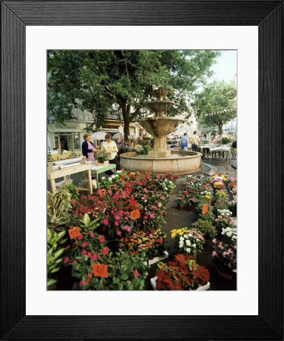 Framed Print : Fountain and flower market, Place aux Aires, Grasse, Alpes-Maritimes, Provence Framed Print : Fountain and flower market, Place aux Aires, Grasse, Alpes-Maritimes, Provence