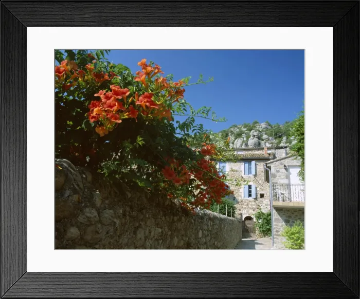 Framed Print : Orange flowers overhanging narrow village street, Vogue, Ardeche, Rhone-Alpes Framed Print : Orange flowers overhanging narrow village street, Vogue, Ardeche, Rhone-Alpes