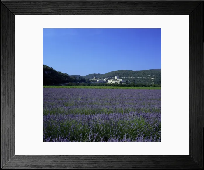 Framed Print : Lavender fields outside the village of Montclus, Gard, Languedoc Roussillon Framed Print : Lavender fields outside the village of Montclus, Gard, Languedoc Roussillon