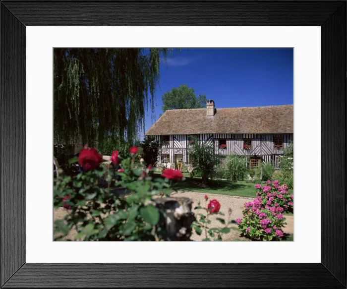 Framed Print : Roses in front of typical timbered farmhouse, near St. Pierre-sur-Dives Framed Print : Roses in front of typical timbered farmhouse, near St. Pierre-sur-Dives