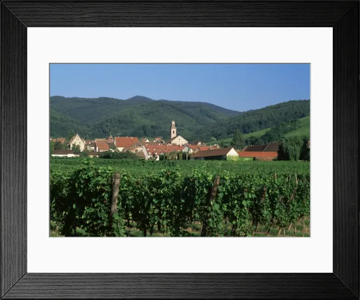 Framed Print : View to village from vineyards, Riquewihr, Haut-Rhin, Alsace, France, Europe Framed Print : View to village from vineyards, Riquewihr, Haut-Rhin, Alsace, France, Europe