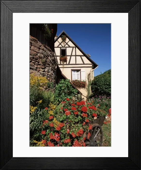 Framed Print : Timbered house and flower-filled cart, Riquewihr, Haut-Rhin, Alsace, France, Europe