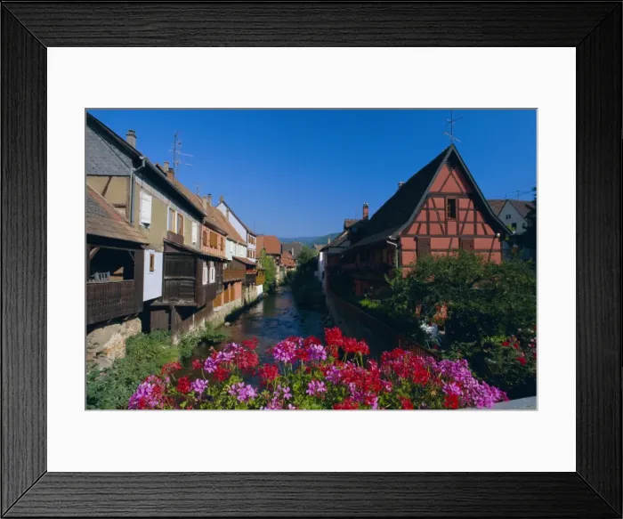 Framed Print : Colourful timbered houses on the banks of the river Weiss, Kaysersberg Framed Print : Colourful timbered houses on the banks of the river Weiss, Kaysersberg