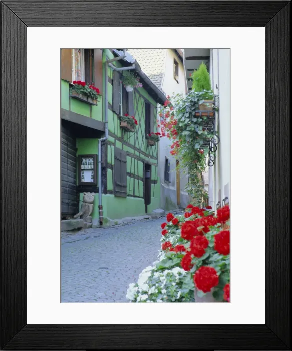 Framed Print : Typical green timbered house and windowboxes, Riquewihr, Haut-Rhin, Alsace Framed Print : Typical green timbered house and windowboxes, Riquewihr, Haut-Rhin, Alsace