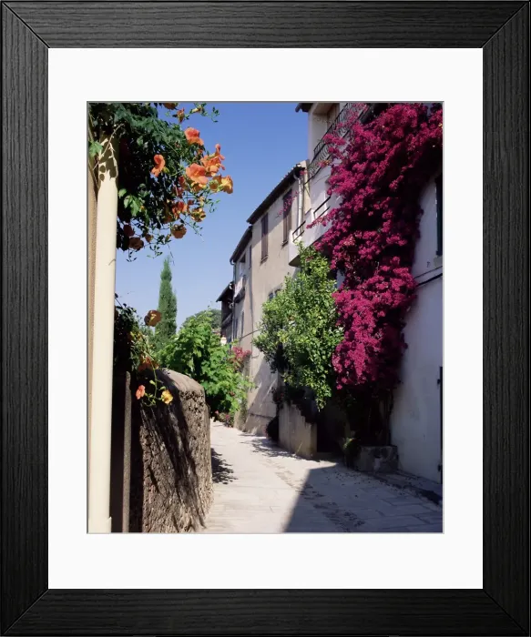 Framed Print : Brightly coloured flowers in village street, Grimaud, Var, Cote d Azur Framed Print : Brightly coloured flowers in village street, Grimaud, Var, Cote d Azur