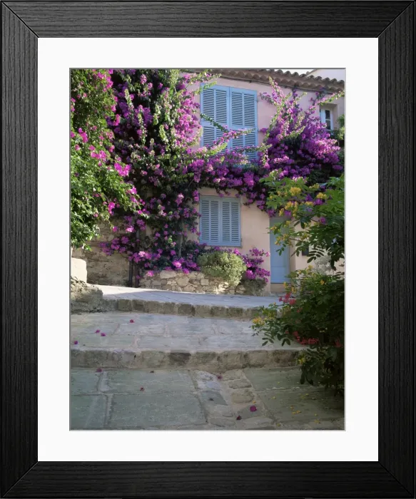 Framed Print : Village house covered with bougainvillea, Grimaud, Var, Cote d Azur Framed Print : Village house covered with bougainvillea, Grimaud, Var, Cote d Azur