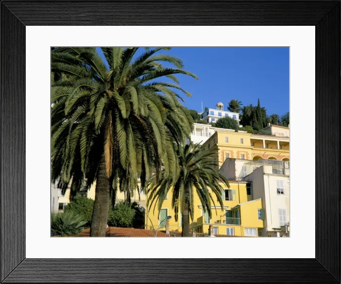 Framed Print : Houses and palms, Menton, Alpes-Maritimes, Cote d Azur, Provence, France, Europe Framed Print : Houses and palms, Menton, Alpes-Maritimes, Cote d Azur, Provence, France, Europe