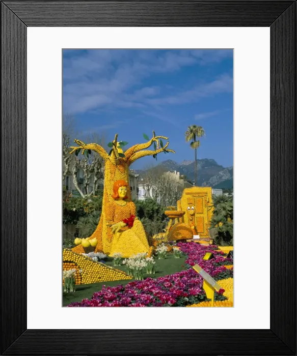 Framed Print : Fruit display in Bioves Gardens, Lemon Festival, Menton, Alpes-Maritimes Framed Print : Fruit display in Bioves Gardens, Lemon Festival, Menton, Alpes-Maritimes
