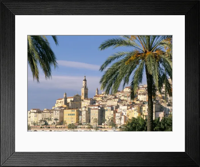 Framed Print : Old town framed by palms, Menton, Alpes-Maritimes, Cote d Azur, Provence Framed Print : Old town framed by palms, Menton, Alpes-Maritimes, Cote d Azur, Provence