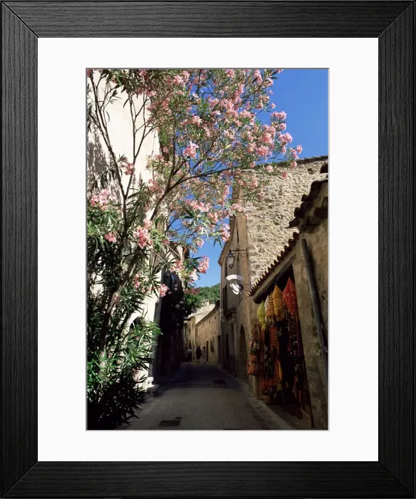 Framed Print : Flower filled village street, St. Guilhem-le-Desert, Herault, Languedoc-Roussillon Framed Print : Flower filled village street, St. Guilhem-le-Desert, Herault, Languedoc-Roussillon