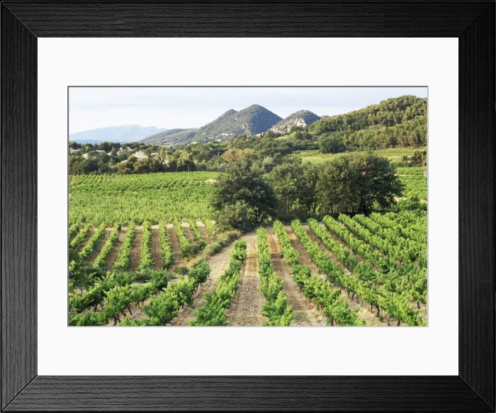 Framed Print : View to distant village across vineyards, Seguret, Vaucluse, Provence, France, Europe Framed Print : View to distant village across vineyards, Seguret, Vaucluse, Provence, France, Europe