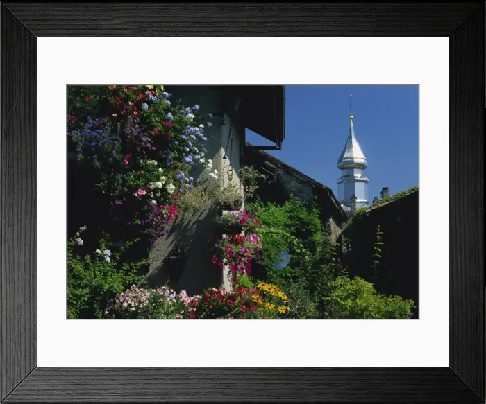 Framed Print : Flower filled garden of village house with sparkling church spire beyond