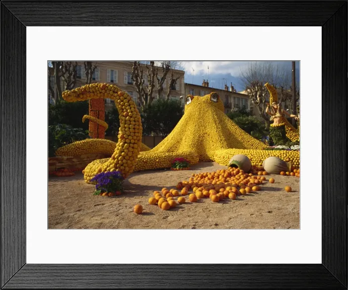 Framed Print : Octopus sculpture for the Lemons and Oranges Festival, Menton, Provence, France, Europe Framed Print : Octopus sculpture for the Lemons and Oranges Festival, Menton, Provence, France, Europe