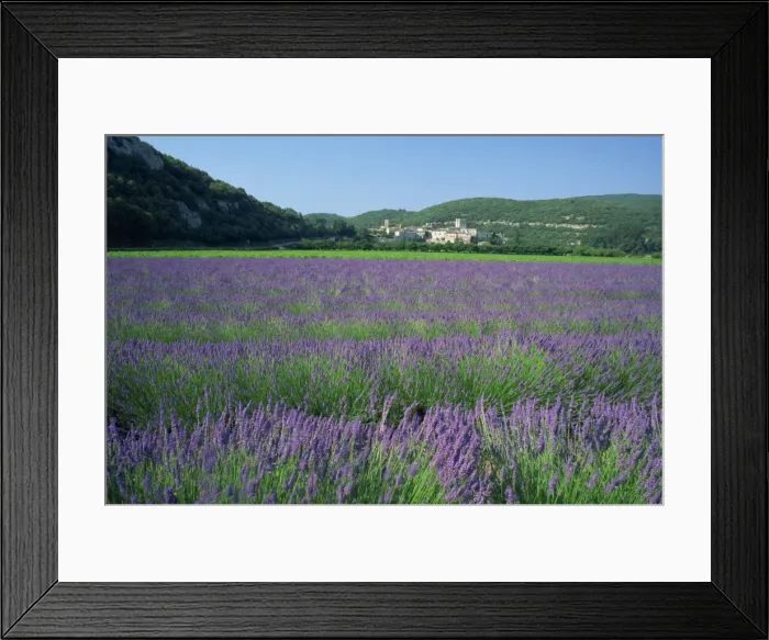 Framed Print : Field of lavender and village of Montclus in distance, Gard, Languedoc-Roussillon Framed Print : Field of lavender and village of Montclus in distance, Gard, Languedoc-Roussillon