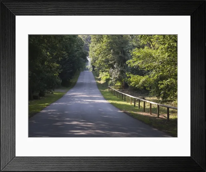 Framed Print : Narrow road near Quimper, Southern Finistere, Brittany, France Framed Print : Narrow road near Quimper, Southern Finistere, Brittany, France