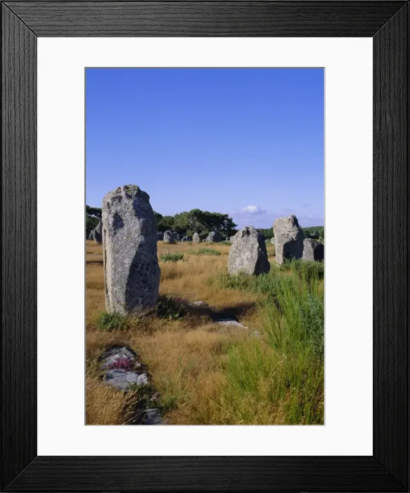 Framed Print : Standing stones, Carnac, Brittany, France, Europe Framed Print : Standing stones, Carnac, Brittany, France, Europe