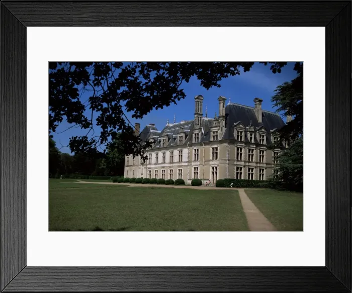 Framed Print : Beauregard, Loire, Centre, France, Europe Framed Print : Beauregard, Loire, Centre, France, Europe