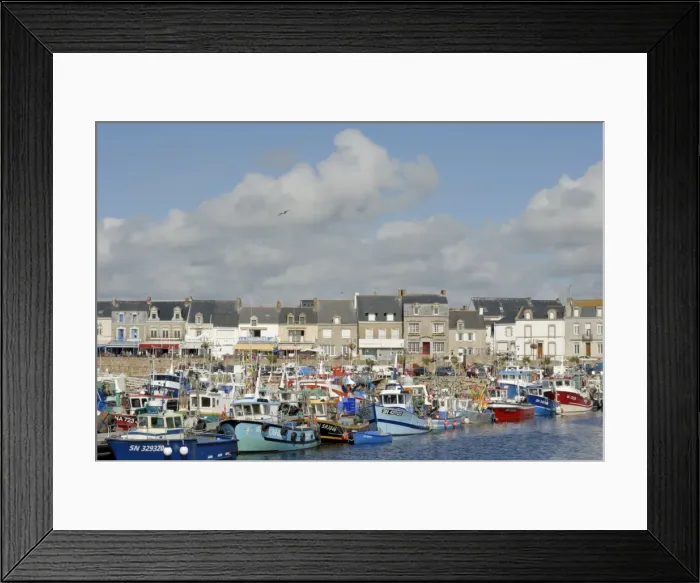 Framed Print : Yachting and fishing port, Le Turballe, Brittany, France, Europe Framed Print : Yachting and fishing port, Le Turballe, Brittany, France, Europe