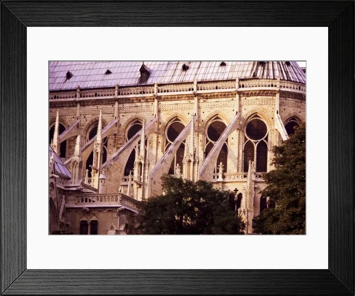 Framed Print : Flying butresses, Notre Dame, Paris, France, Europe Framed Print : Flying butresses, Notre Dame, Paris, France, Europe